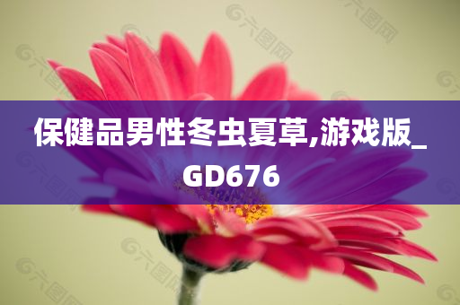 保健品男性冬虫夏草,游戏版_GD676