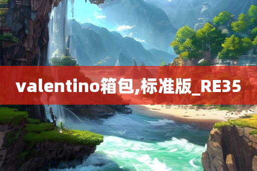 valentino箱包,标准版_RE35