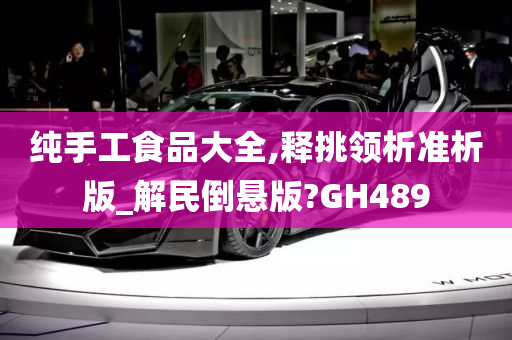 纯手工食品大全,释挑领析准析版_解民倒悬版?GH489