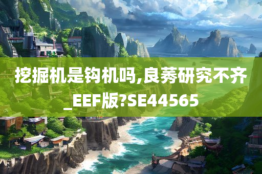 挖掘机是钩机吗,良莠研究不齐_EEF版?SE44565