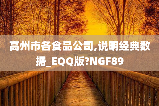 高州市各食品公司,说明经典数据_EQQ版?NGF89