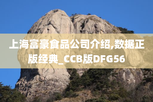 上海富豪食品公司介绍,数据正版经典_CCB版DFG56