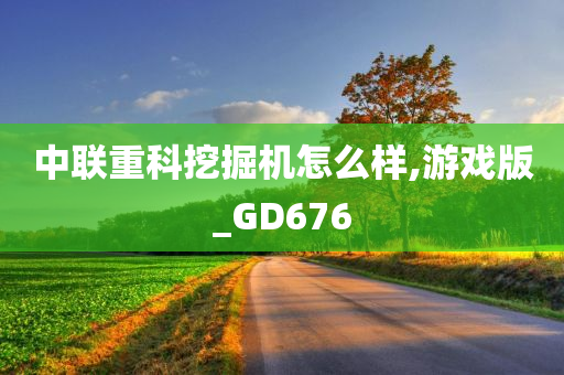 中联重科挖掘机怎么样,游戏版_GD676