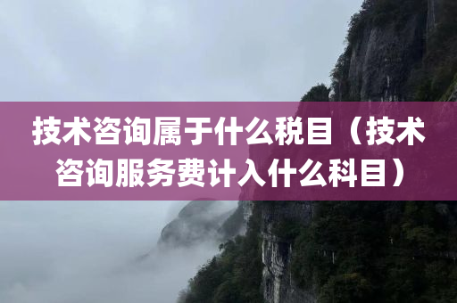 技术咨询属于什么税目（技术咨询服务费计入什么科目）