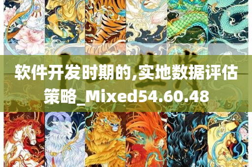 软件开发时期的,实地数据评估策略_Mixed54.60.48