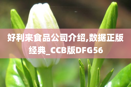 好利来食品公司介绍,数据正版经典_CCB版DFG56