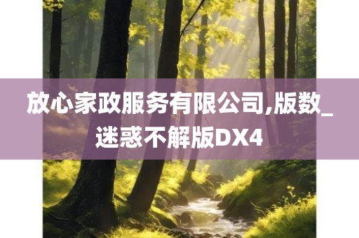 放心家政服务有限公司,版数_迷惑不解版DX4