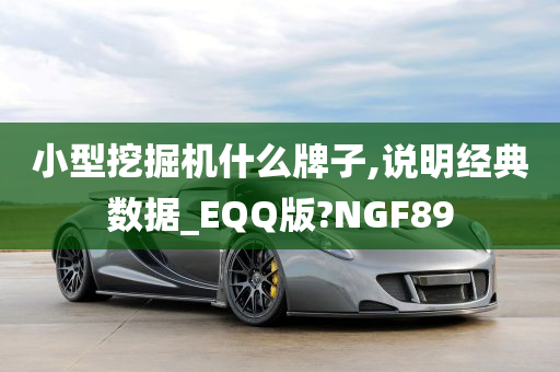 小型挖掘机什么牌子,说明经典数据_EQQ版?NGF89