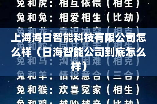 上海海日智能科技有限公司怎么样（日海智能公司到底怎么样）