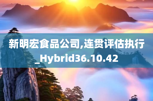 新明宏食品公司,连贯评估执行_Hybrid36.10.42