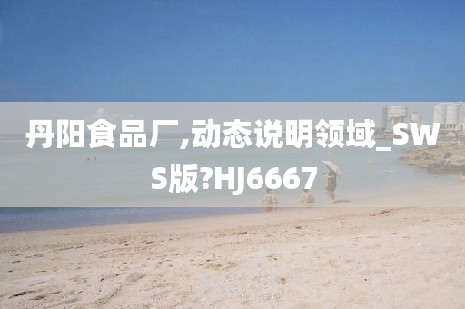 丹阳食品厂,动态说明领域_SWS版?HJ6667