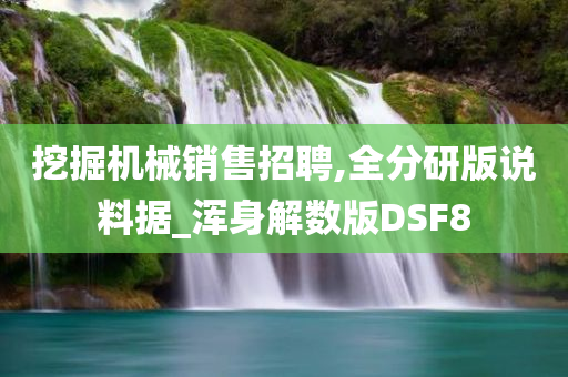 挖掘机械销售招聘,全分研版说料据_浑身解数版DSF8