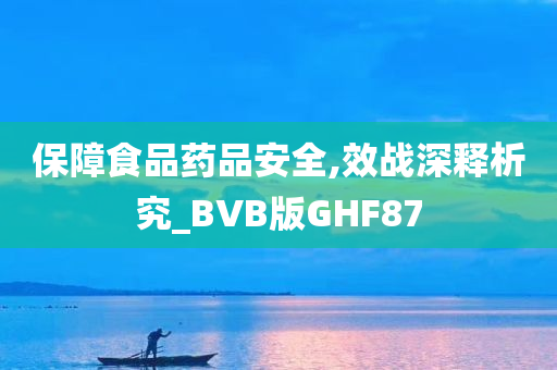 保障食品药品安全,效战深释析究_BVB版GHF87