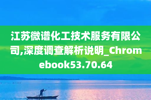 江苏微谱化工技术服务有限公司,深度调查解析说明_Chromebook53.70.64