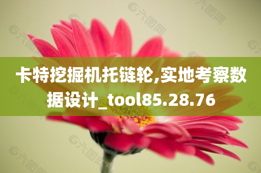 卡特挖掘机托链轮,实地考察数据设计_tool85.28.76