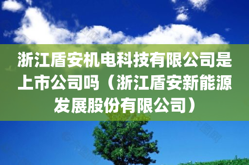 浙江盾安机电科技有限公司是上市公司吗（浙江盾安新能源发展股份有限公司）