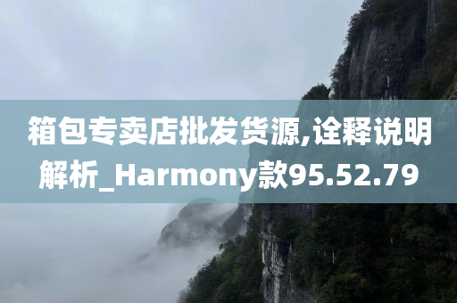 箱包专卖店批发货源,诠释说明解析_Harmony款95.52.79