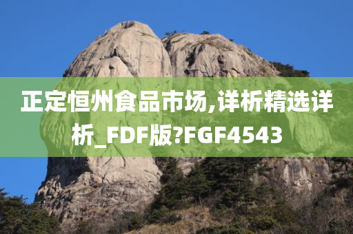 正定恒州食品市场,详析精选详析_FDF版?FGF4543