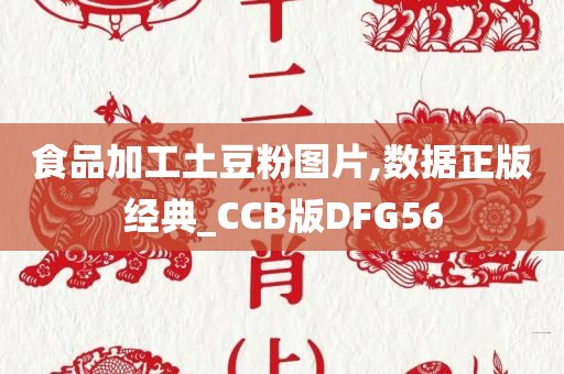 食品加工土豆粉图片,数据正版经典_CCB版DFG56