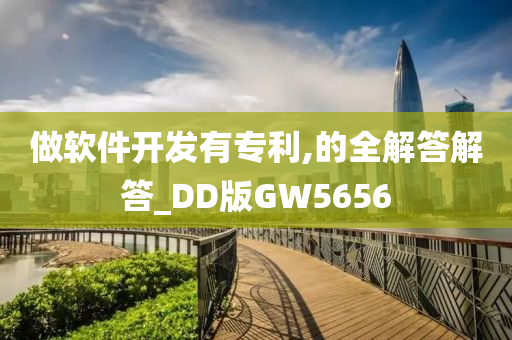 做软件开发有专利,的全解答解答_DD版GW5656