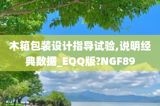 木箱包装设计指导试验,说明经典数据_EQQ版?NGF89