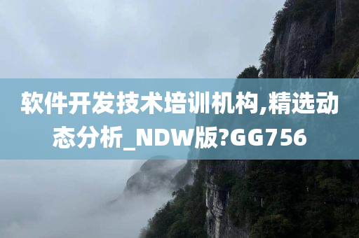 软件开发技术培训机构,精选动态分析_NDW版?GG756