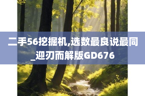 二手56挖掘机,选数最良说最同_迎刃而解版GD676