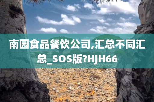 南园食品餐饮公司,汇总不同汇总_SOS版?HJH66