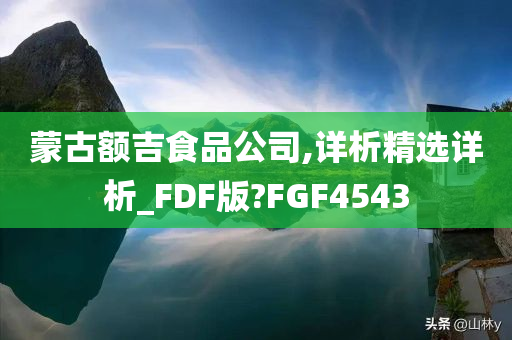 蒙古额吉食品公司,详析精选详析_FDF版?FGF4543