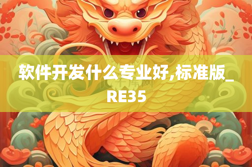 软件开发什么专业好,标准版_RE35