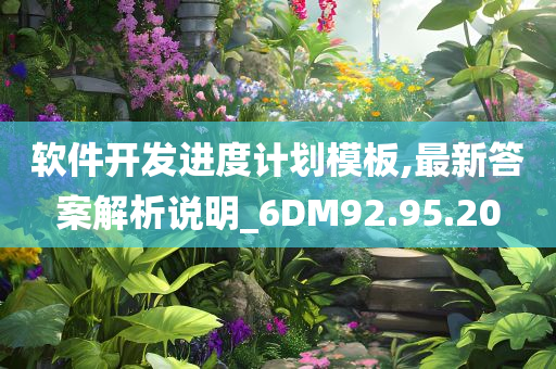 软件开发进度计划模板,最新答案解析说明_6DM92.95.20