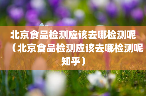 北京食品检测应该去哪检测呢（北京食品检测应该去哪检测呢知乎）