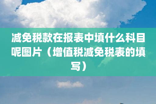 减免税款在报表中填什么科目呢图片（增值税减免税表的填写）