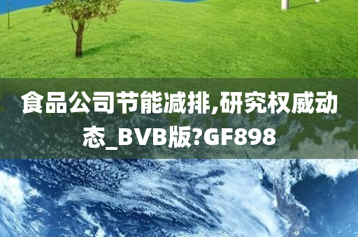 食品公司节能减排,研究权威动态_BVB版?GF898