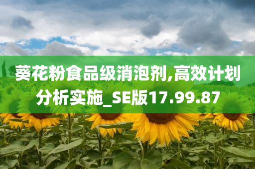 葵花粉食品级消泡剂,高效计划分析实施_SE版17.99.87