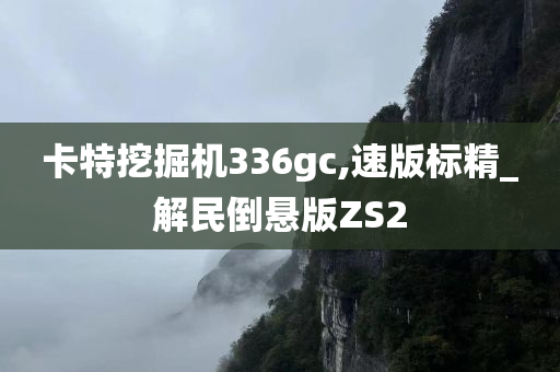 卡特挖掘机336gc,速版标精_解民倒悬版ZS2