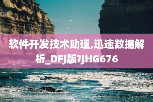 软件开发技术助理,迅速数据解析_DFJ版?JHG676