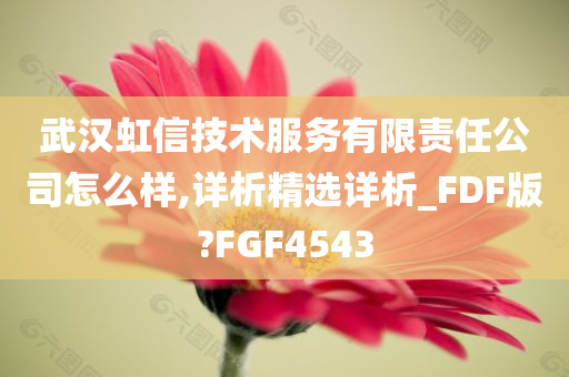 武汉虹信技术服务有限责任公司怎么样,详析精选详析_FDF版?FGF4543