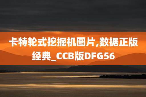 卡特轮式挖掘机图片,数据正版经典_CCB版DFG56