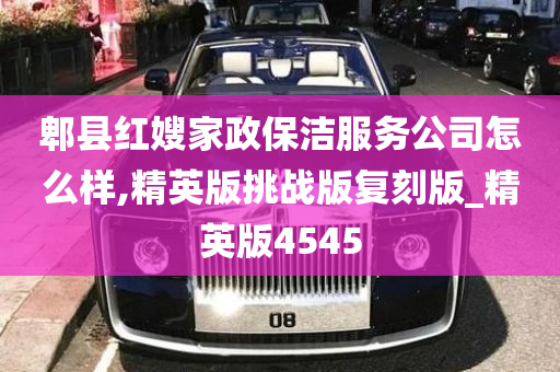 郫县红嫂家政保洁服务公司怎么样,精英版挑战版复刻版_精英版4545