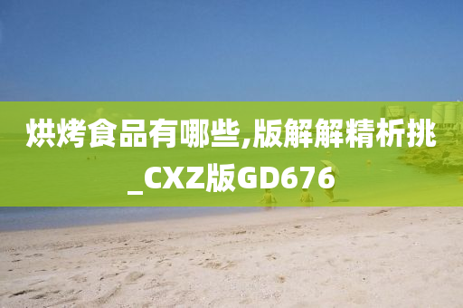 烘烤食品有哪些,版解解精析挑_CXZ版GD676