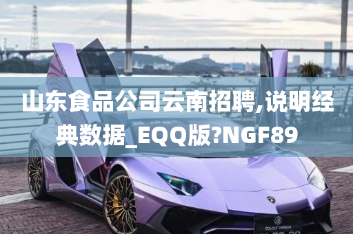 山东食品公司云南招聘,说明经典数据_EQQ版?NGF89