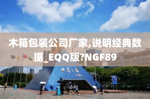 木箱包装公司厂家,说明经典数据_EQQ版?NGF89