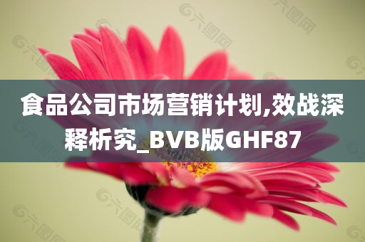 食品公司市场营销计划,效战深释析究_BVB版GHF87