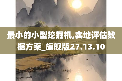 最小的小型挖掘机,实地评估数据方案_旗舰版27.13.10