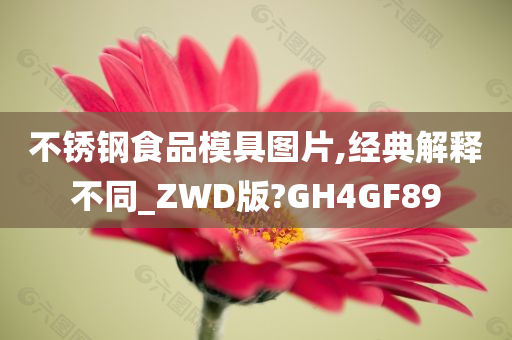 不锈钢食品模具图片,经典解释不同_ZWD版?GH4GF89