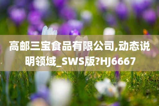 高邮三宝食品有限公司,动态说明领域_SWS版?HJ6667