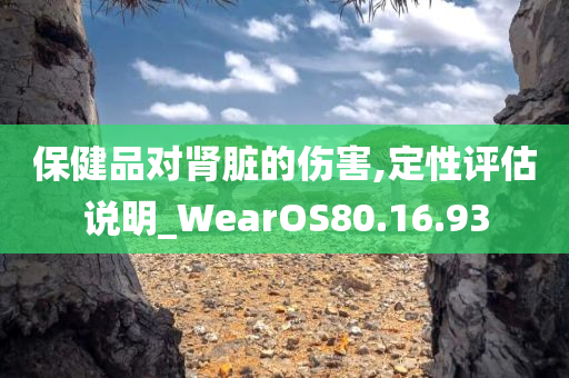 保健品对肾脏的伤害,定性评估说明_WearOS80.16.93