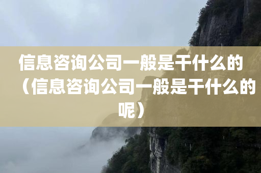 信息咨询公司一般是干什么的（信息咨询公司一般是干什么的呢）