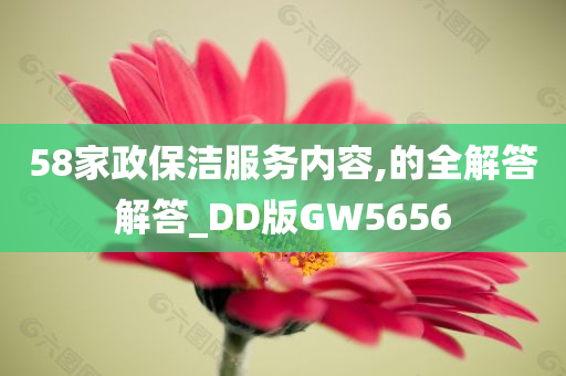 58家政保洁服务内容,的全解答解答_DD版GW5656